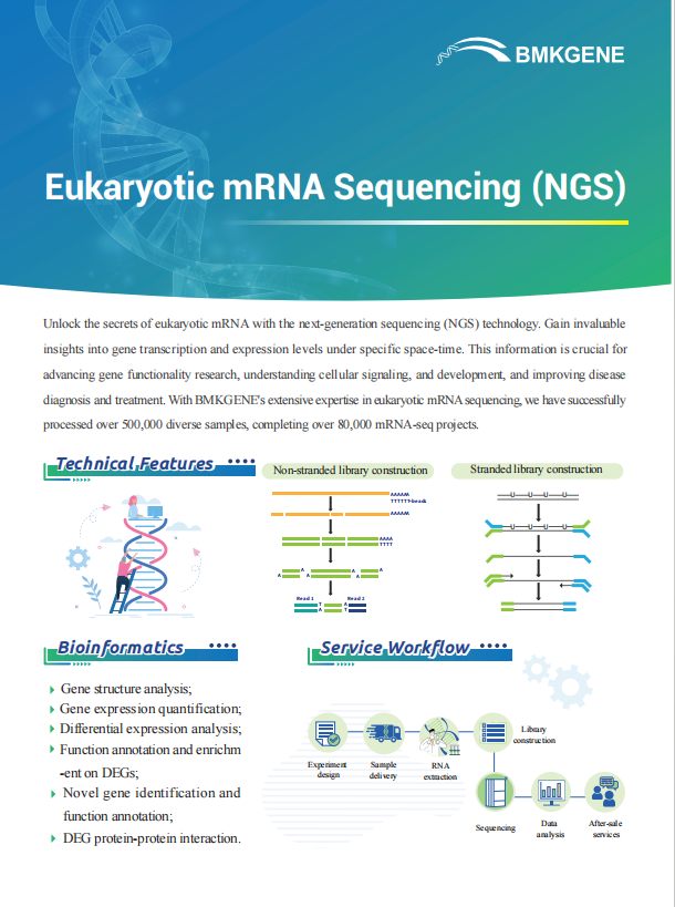 Eukaryotic mRNA Sequencing (NGS)–BMKGENE–2023.12