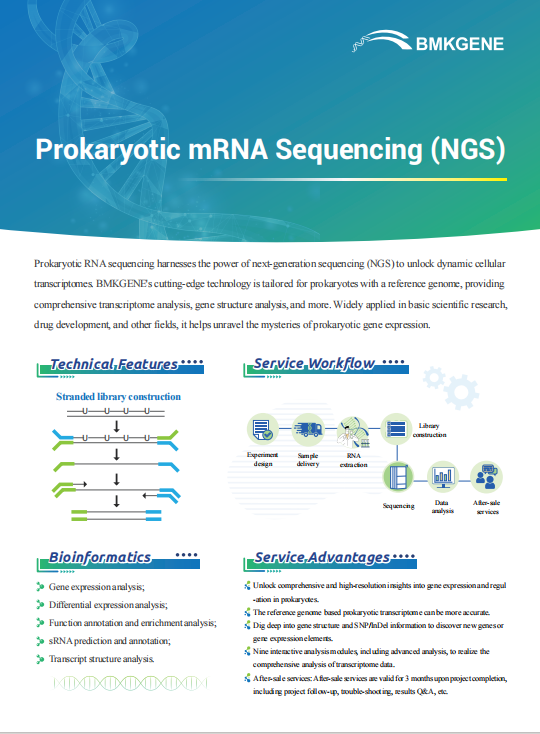 Prokaryotic mRNA Sequencing (NGS)–BMKGENE–2023.12