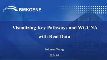 Class 5|visualizing key pathways and WGCNA with real data