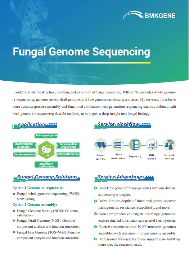 Fungal Genome Sequencing–BMKGENE–2023.12