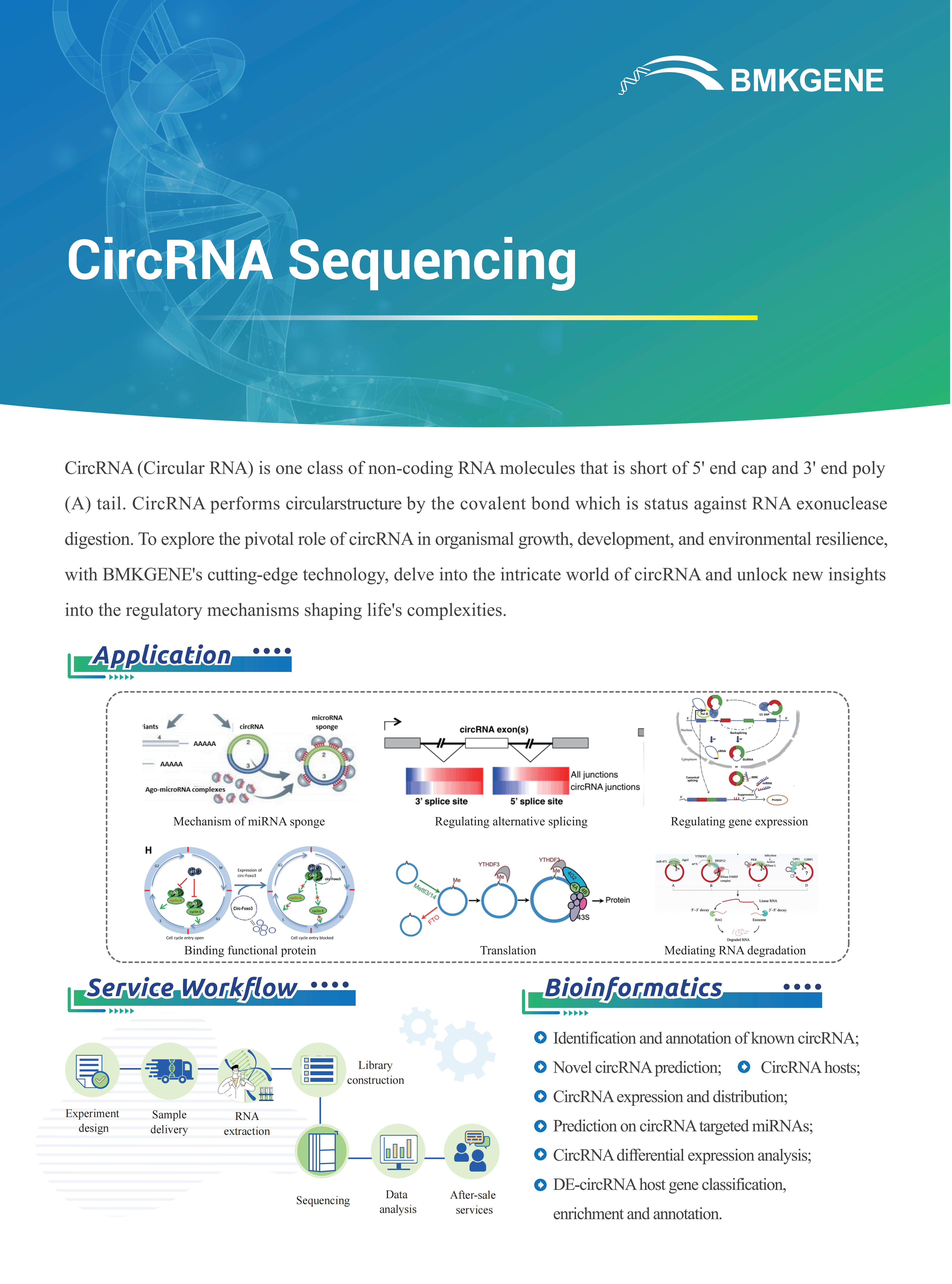 CircRNA Sequencing–BMKGENE–2023.12