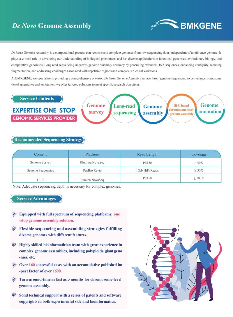 De Novo Genome Assemble-Flyer