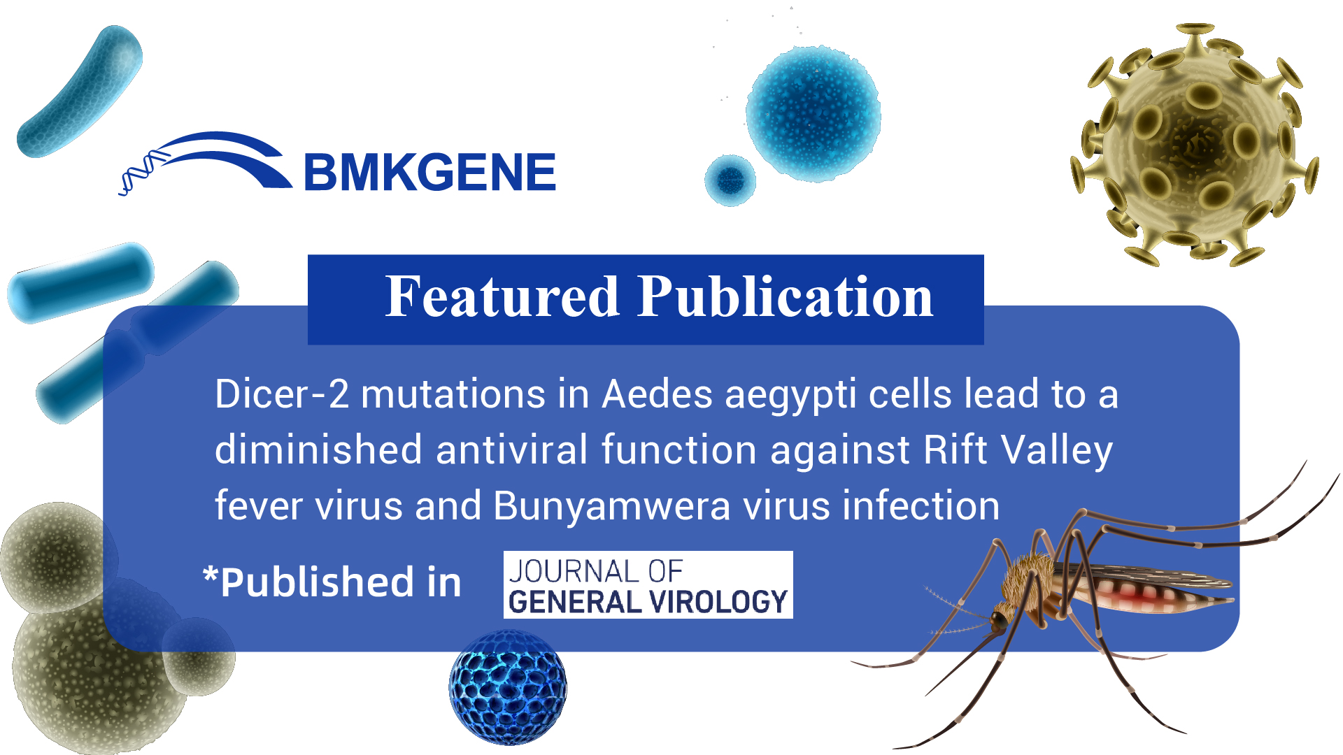 Featured Publication – Dicer-2 mutations in Aedes aegypti cells lead to a diminished antiviral function against Rift Valley fever virus and Bunyamwera virus infection