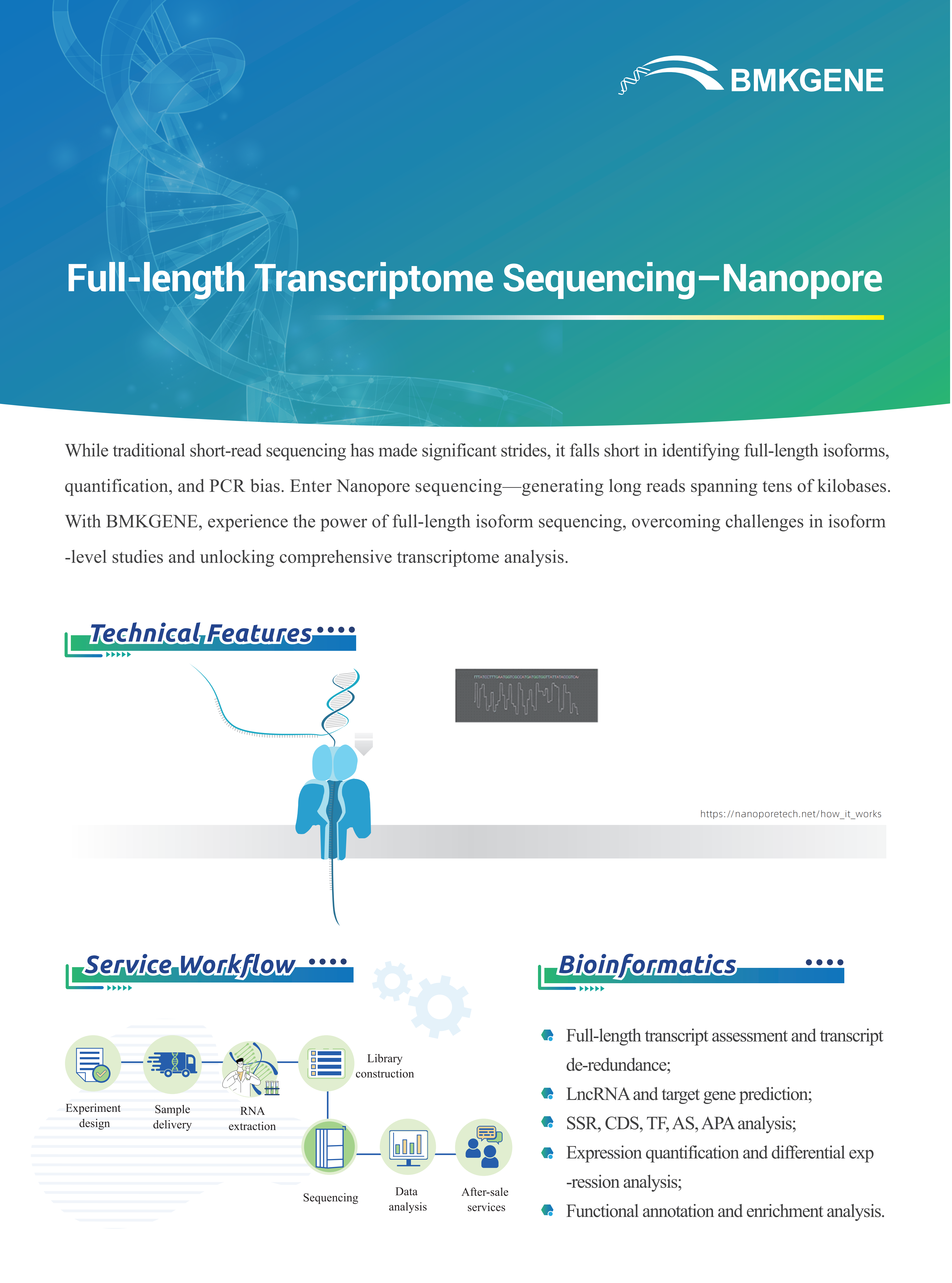 Full-length Transcriptome Sequencing-Nanopore–BMKGENE–2023.12