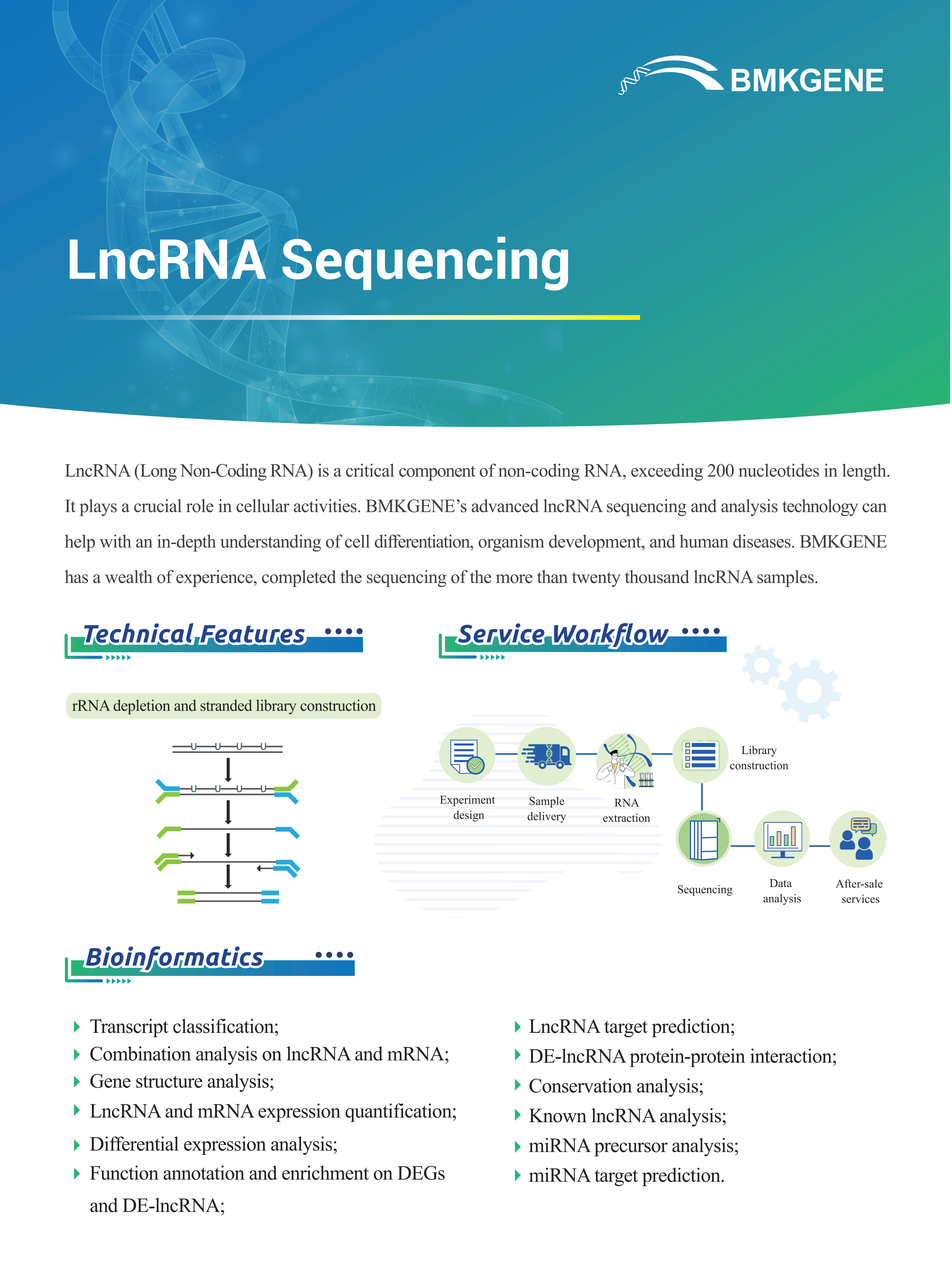 LncRNA Sequencing–BMKGENE–2023.12