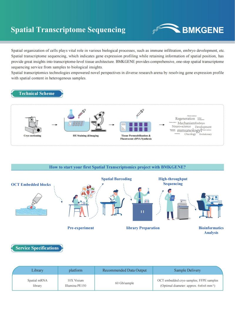 Spatial Transcriptome Sequencing–BMKGENE–2023.05