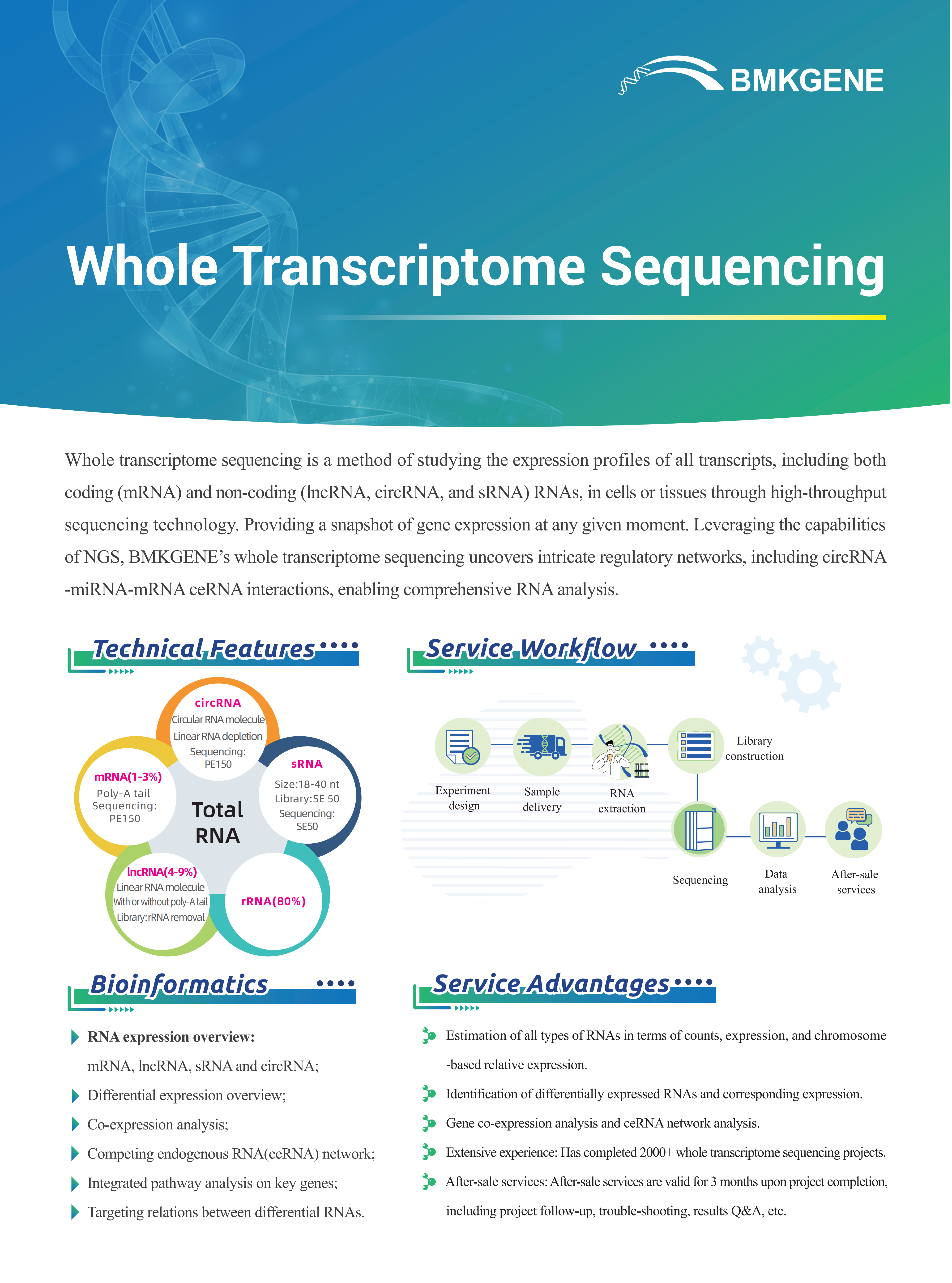 Whole Transcriptome Sequencing–BMKGENE–2023.12