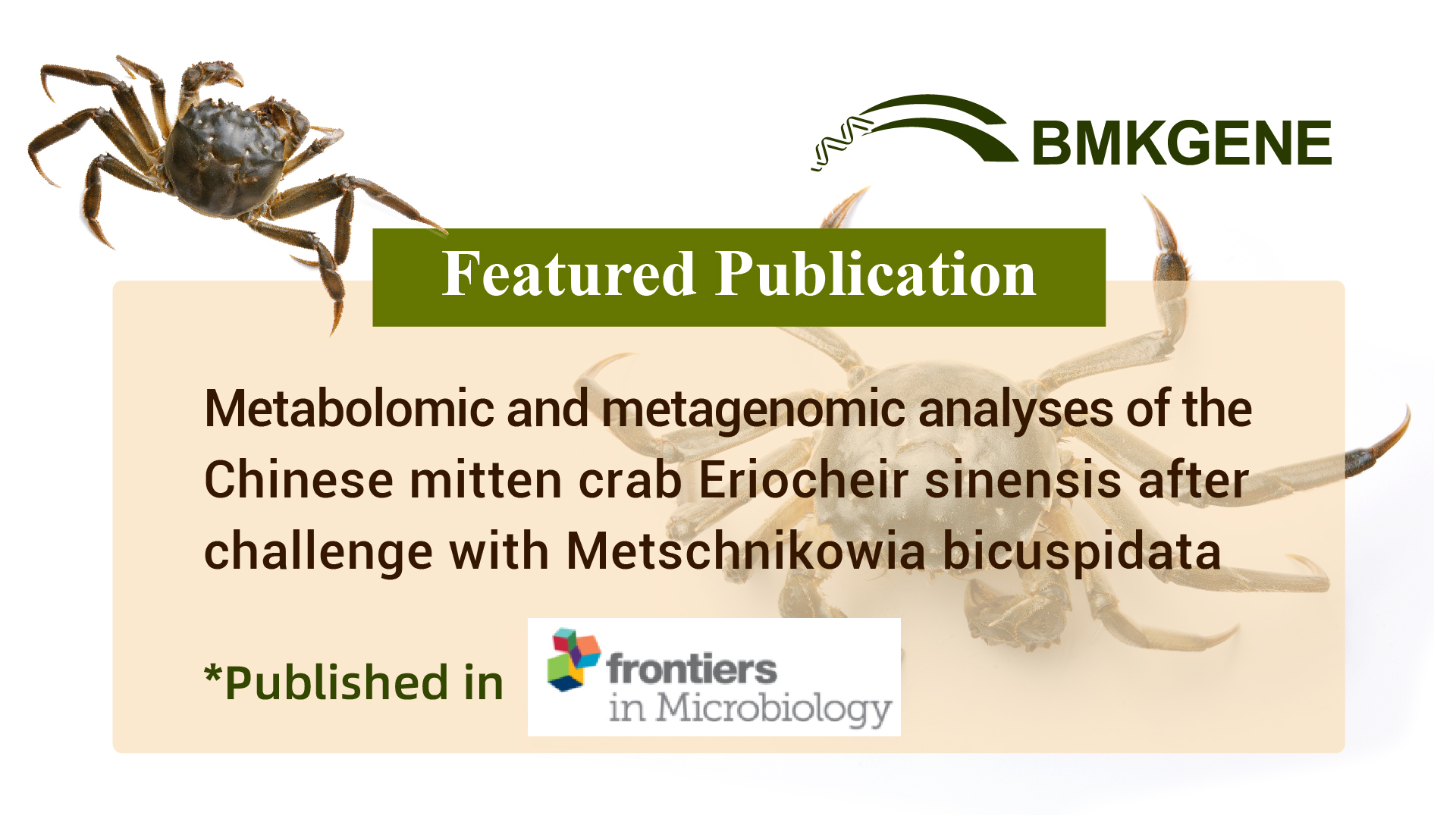 Featured Publication – Metabolomic and metagenomic analyses of the Chinese mitten crab Eriocheir sinensis after challenge with Metschnikowia bicuspidata