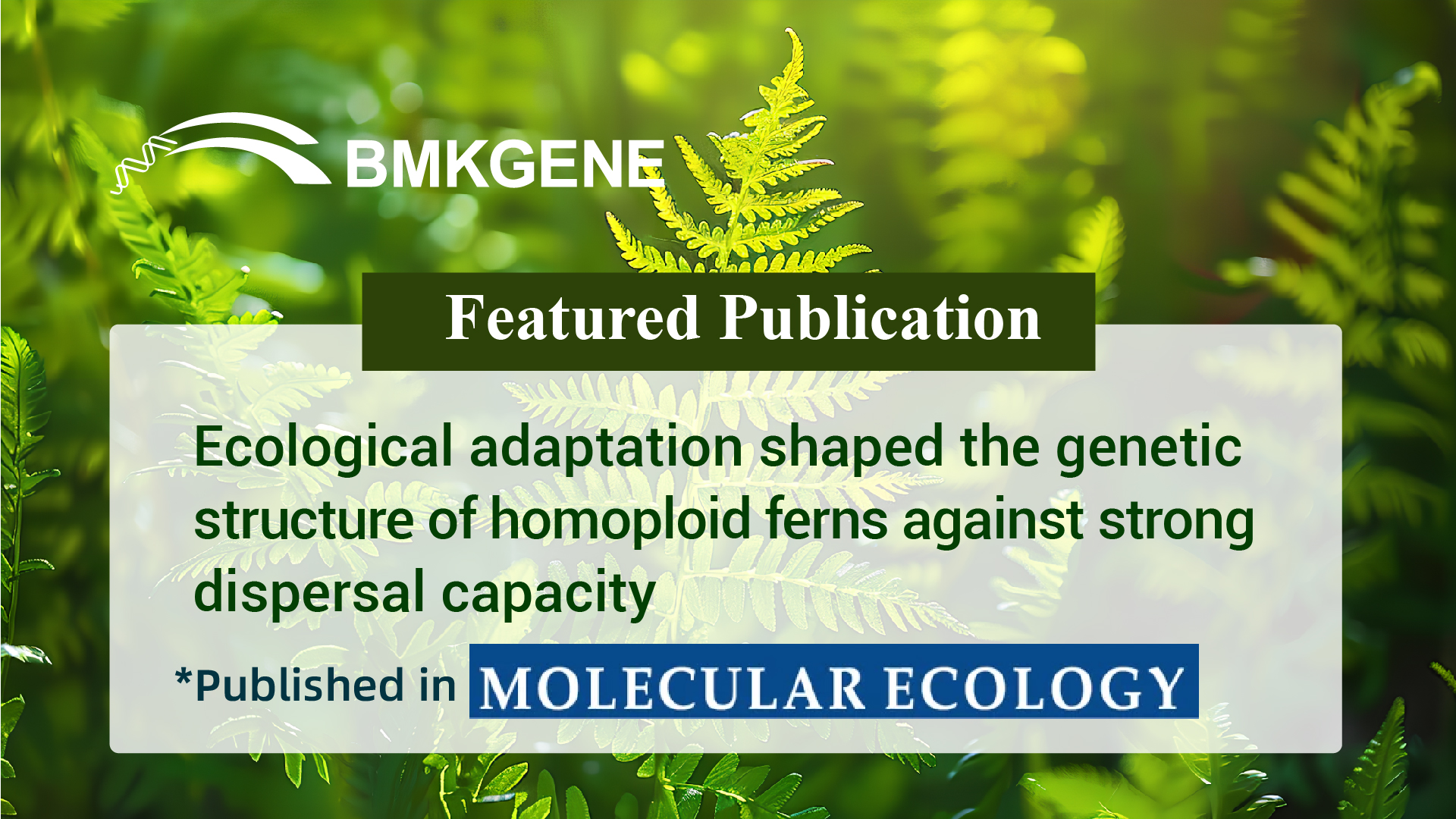 Featured Publication – Ecological adaptation shaped the genetic structure of homoploid ferns against strong dispersal capacity