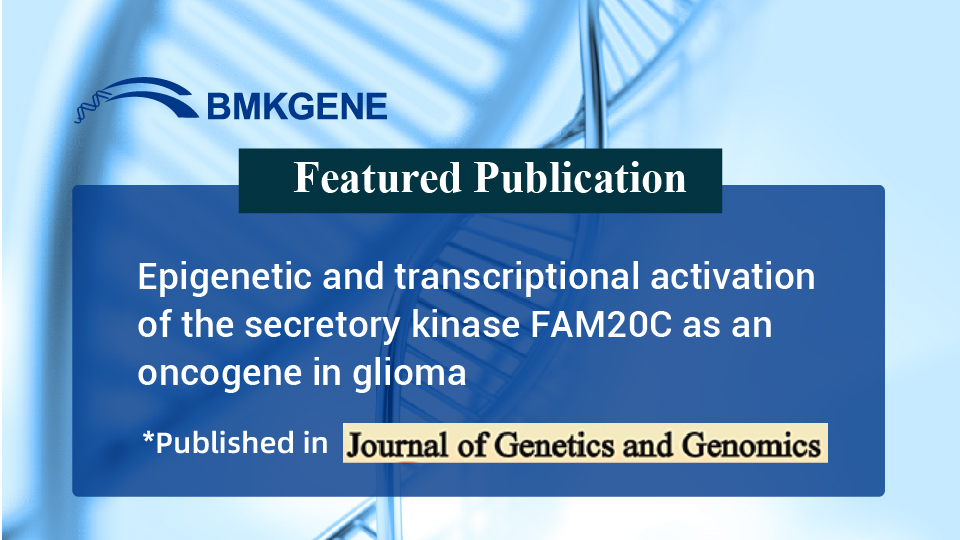 Featured Publication – Epigenetic and transcriptional activation of the secretory kinase FAM20C as an oncogene in glioma