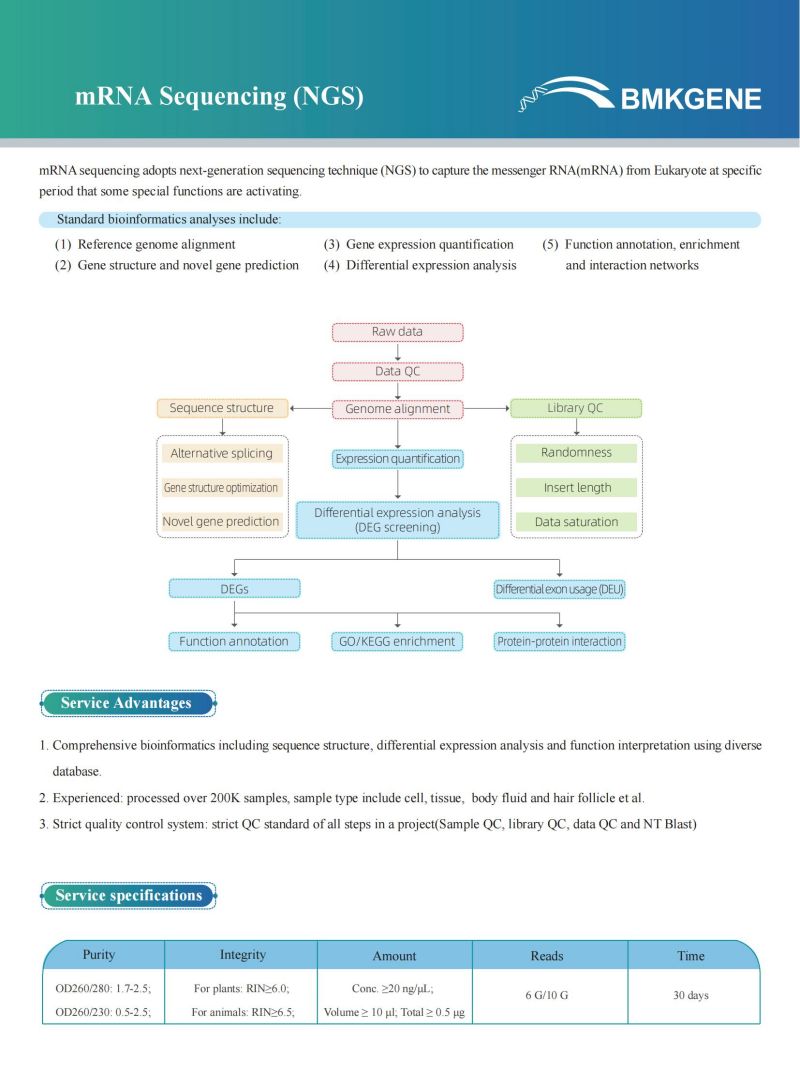 mRNA Sequencing (NGS)–BMKGENE–2023.05