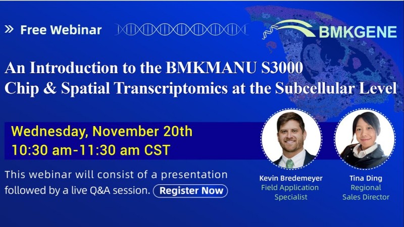 An introduction to the BMKMANU S3000 chip & spatial transcriptomics at the subcellular level