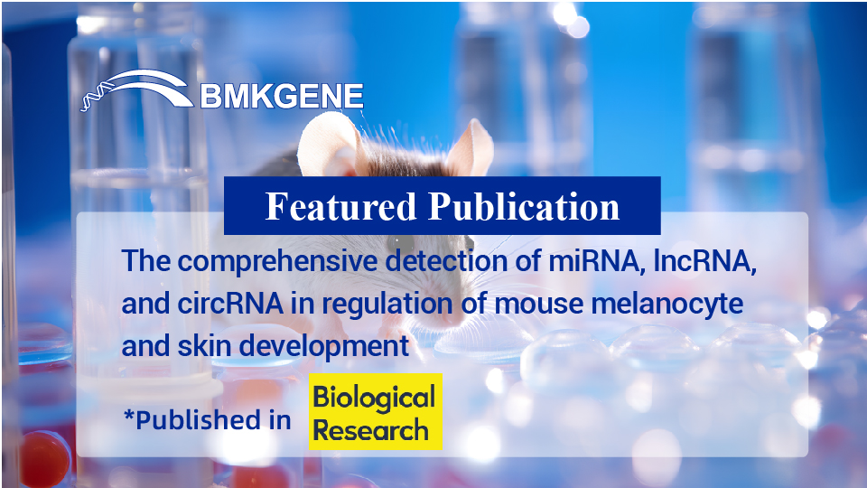 Featured Publication – The comprehensive detection of miRNA, lncRNA, and circRNA in regulation of mouse melanocyte and skin development