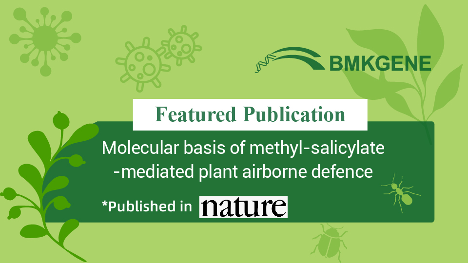 Featured Publication-Molecular basis of methyI-salicylate-mediated plant airborne defence