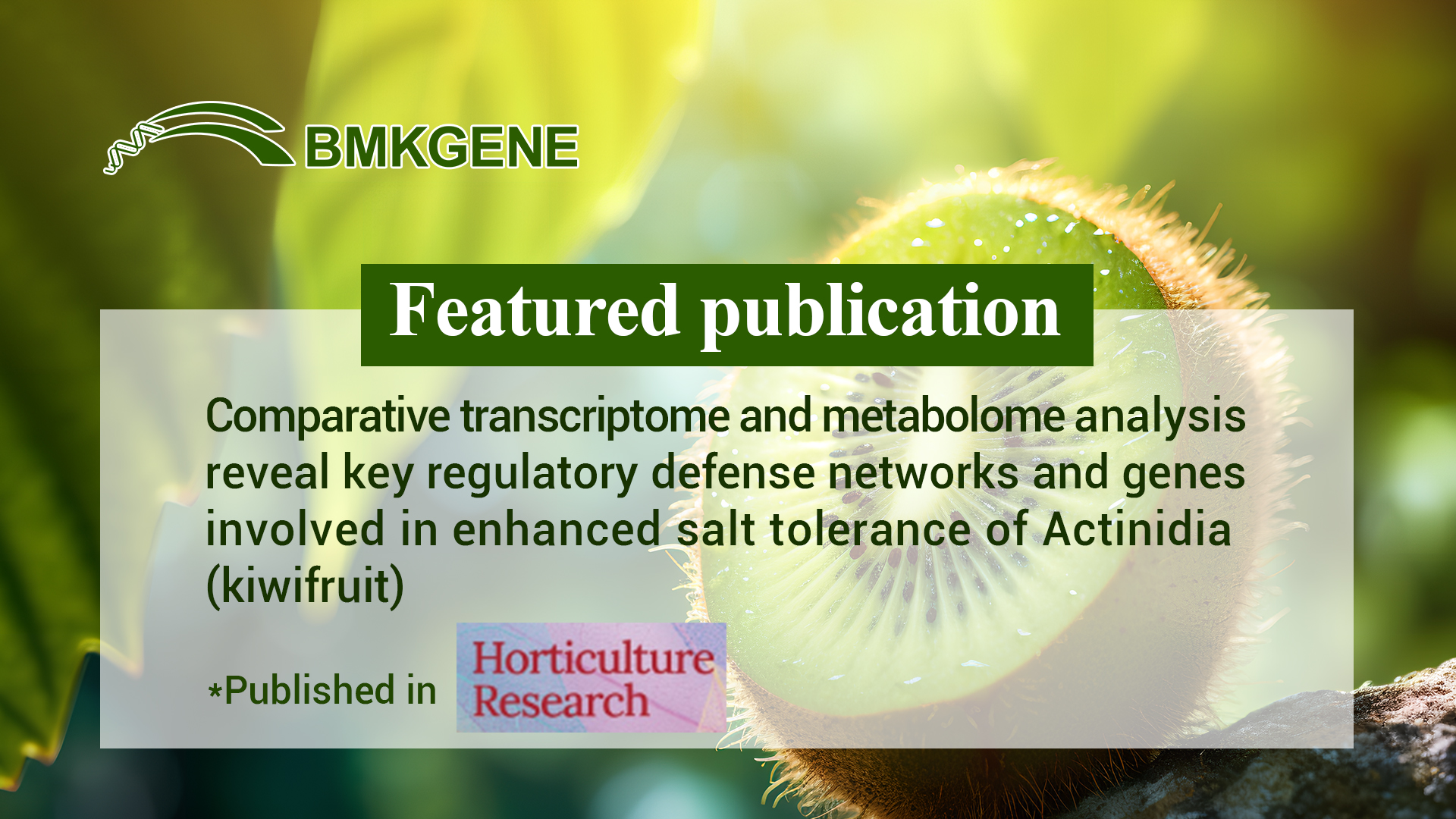 Featured Publication – Comparative Transcriptome, and metabolome analysis reveals key regulatory defense networks and genes involved in enhanced salt tolerance of Actinidia (kiwifruit)