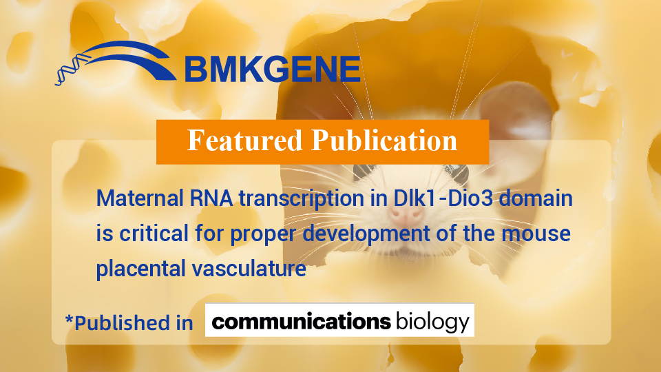 Featured Publication-Maternal RNA transcription in Dlk1-Dio3 domain is critical for proper development of the mouse placental vasculature