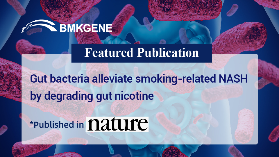 Featured Publication-Gut bacteria alleviate smoking-related NASH by degrading gut nicotine