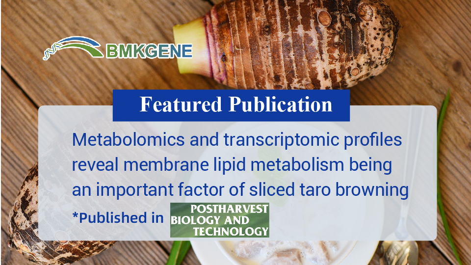 Featured Publication – Metabolomics and transcriptomic profiles reveal membrane lipid metabolism as a key factor in sliced taro browning