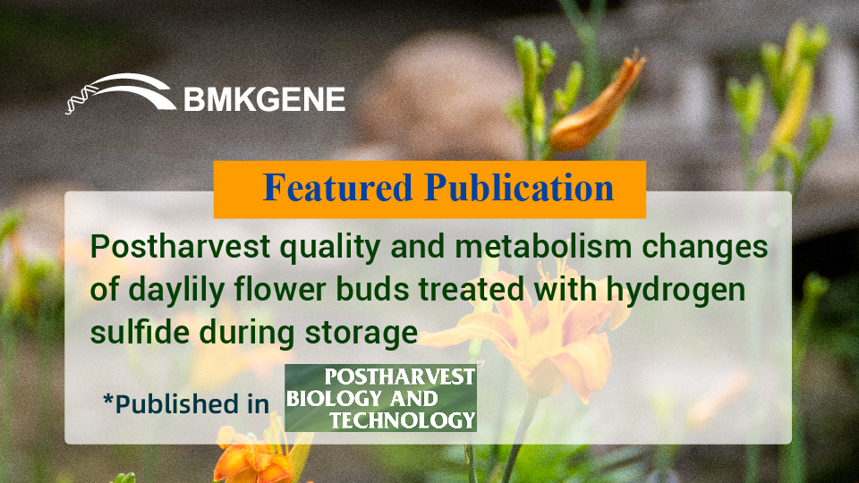 Featured Publication – Postharvest quality and metabolism changes of daylily flower buds treated with hydrogen sulfide during storage