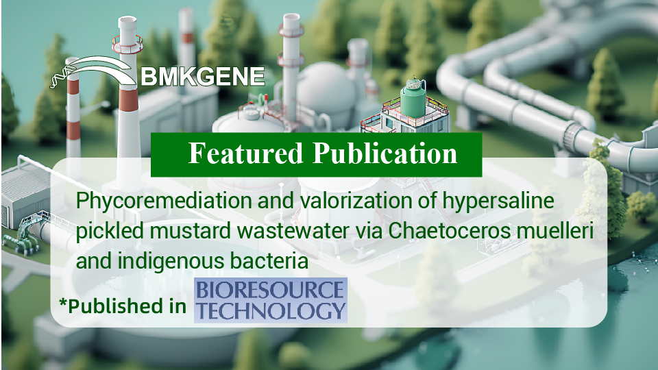 Featured Publication-Phycoremediation and valorization of hypersaline pickled mustard wastewater via Chaetoceros muelleri and indigenous bacteria